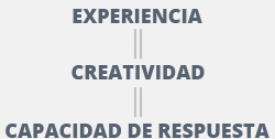 Experiencia, creatividad y capacidad de respuesta