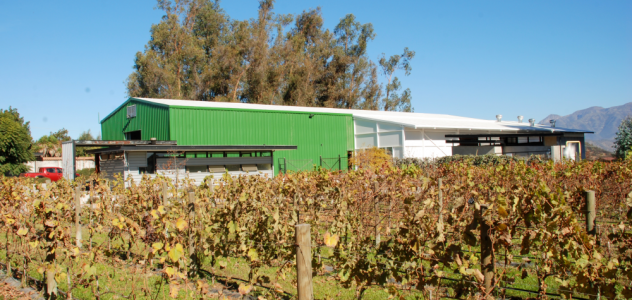 BODEGAS – VIÑA CAMINO REAL