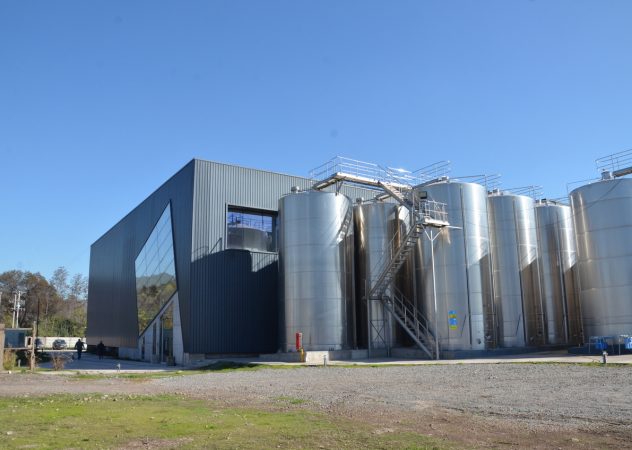 Desafíos y Soluciones en la Construcción de Plantas de Producción